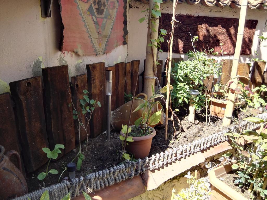 Lea Guest House Tbilisi ภายนอก รูปภาพ